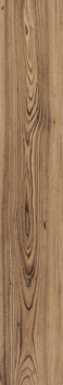 YKSG6 2012TN RM.jpg